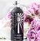 Montale Fantastic Oud