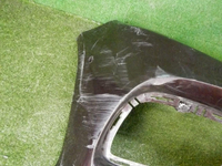DSCN3931.jpg