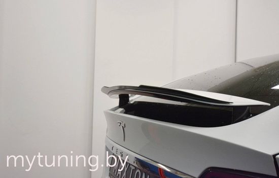 Сплиттер задней двери для TESLA Model X (15-...)
