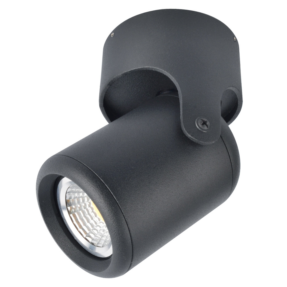 Накладной светильник Arte Lamp LIBRA A3316PL-1BK