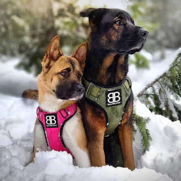 Шлейка Premium Dog Harness v2.0 BullyBillows