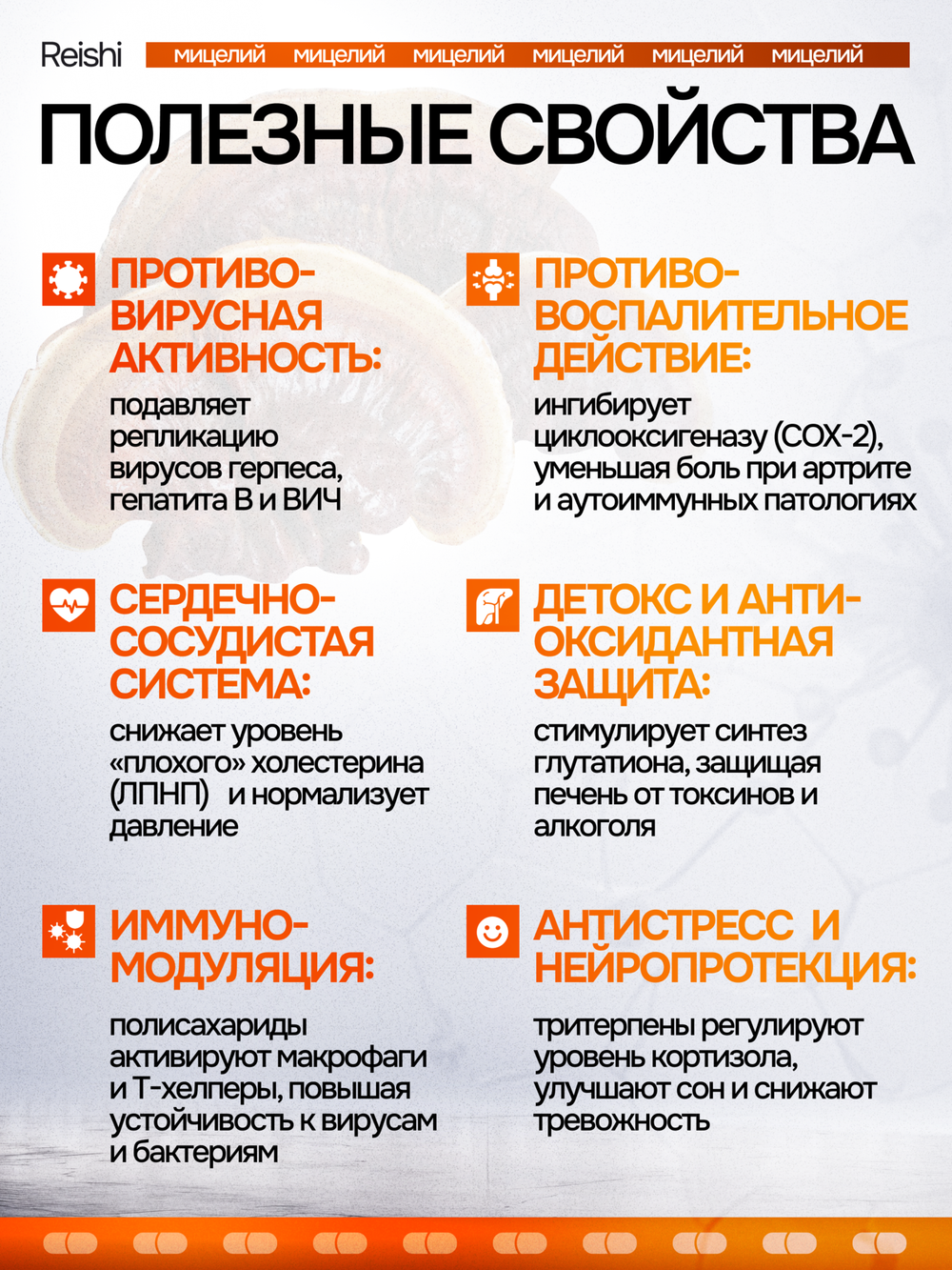 Рейши Линчжи 120 капсул
