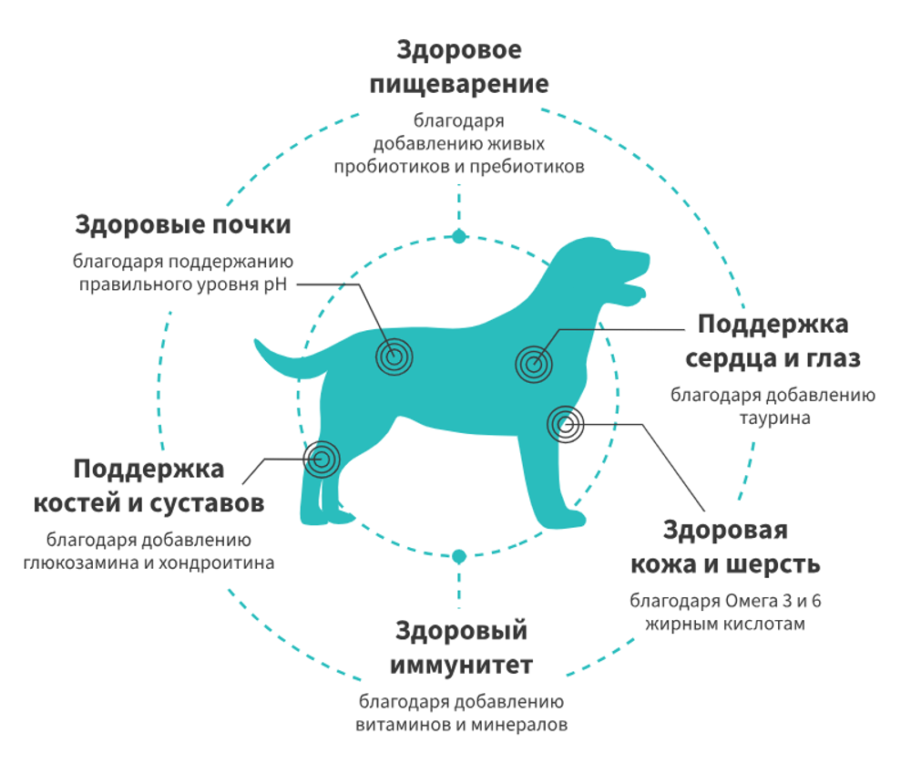 GRANDORF FRESH Свежее мясо утки с бататом для собак средних и крупных пород