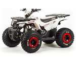 Квадроцикл MOTOLAND 125 WILD BASIC A