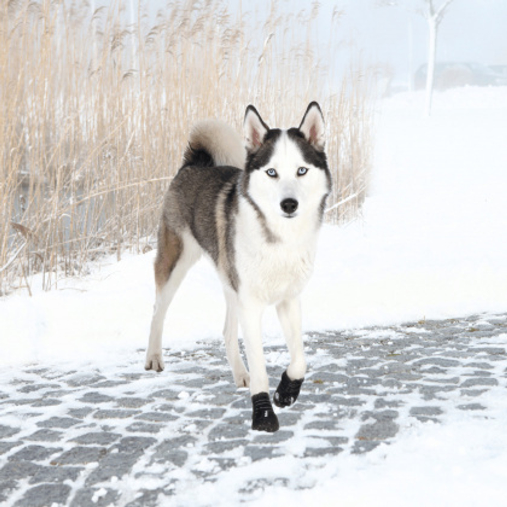 Ботинки для собак Walker Active, L-XL, 2 шт., Trixie