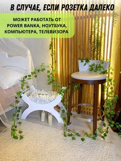 Гирлянда декоративная лиана искусственная 10 м 100 LED USB