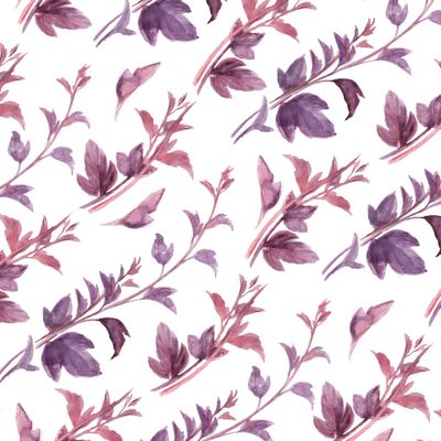 Twigs violet