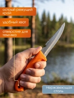 Нож туристический Tagrider Storm, 21 см