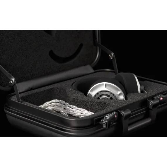 Final Audio D8000 DC Pro Edition Silver
