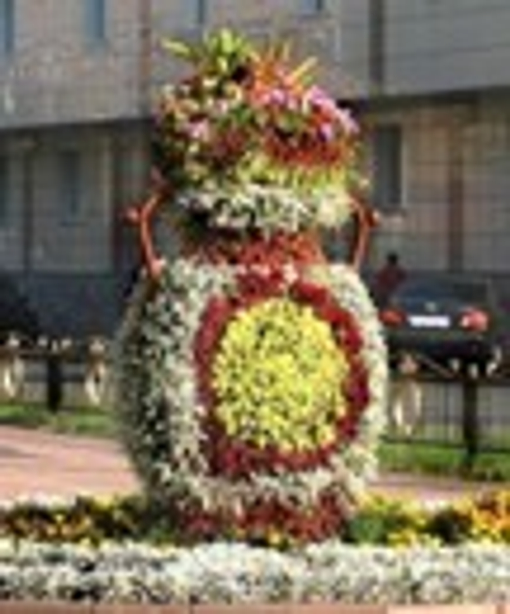 Топиарная фигура Кувшин