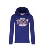 Худые Tommy Hilfiger - голубой(KG0KG07373)