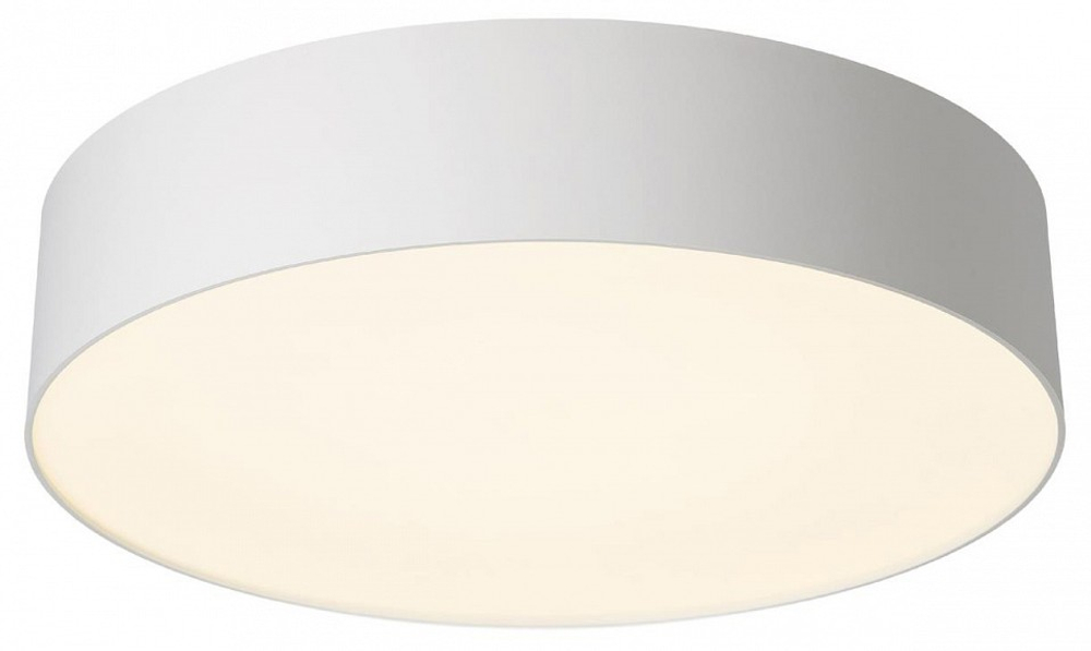 Накладной светильник Citilux BART CL755290