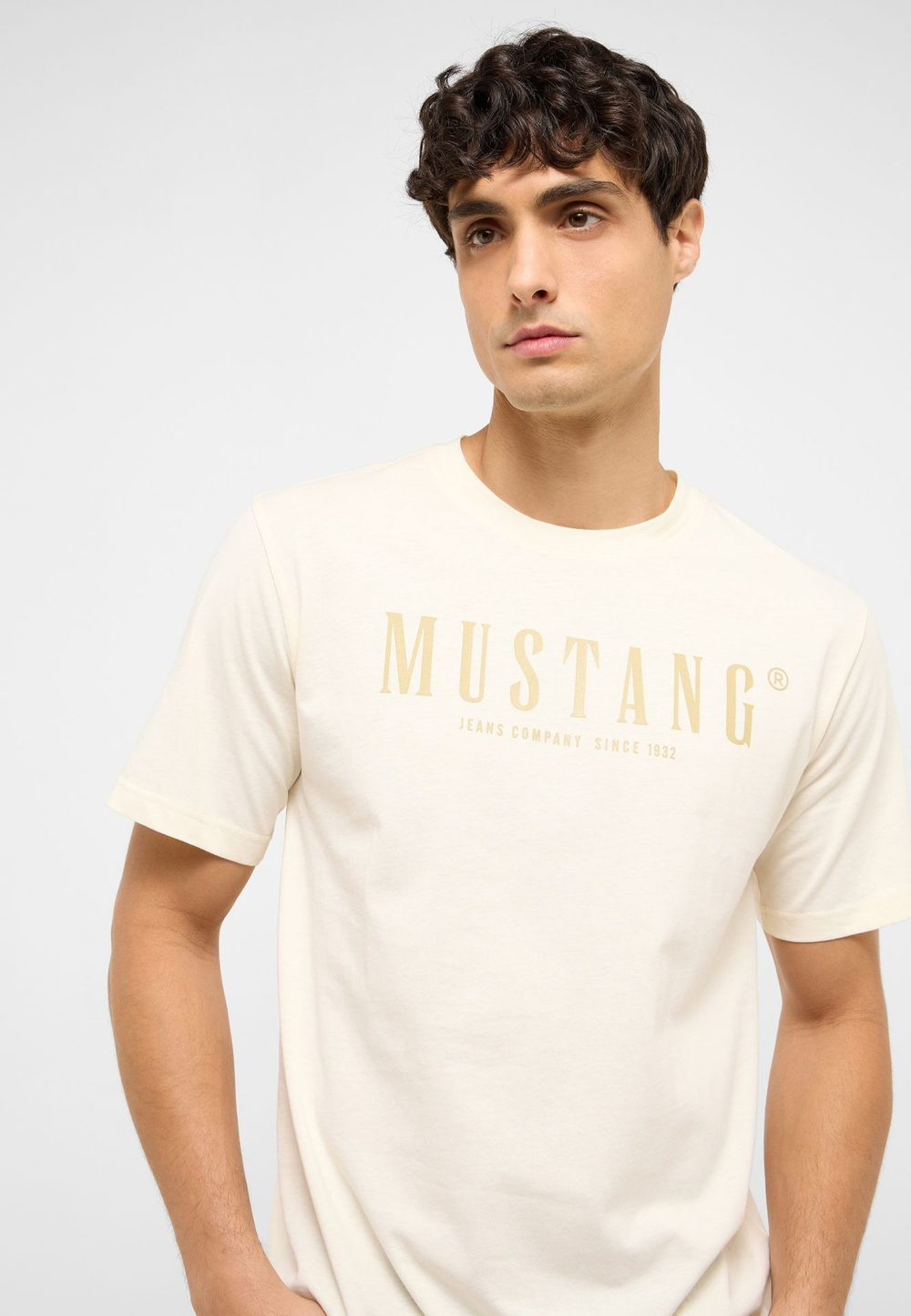 Футболка мужская MUSTANG Style Austin