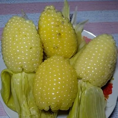 Кукуруза "Кувшин" семена 10 штук