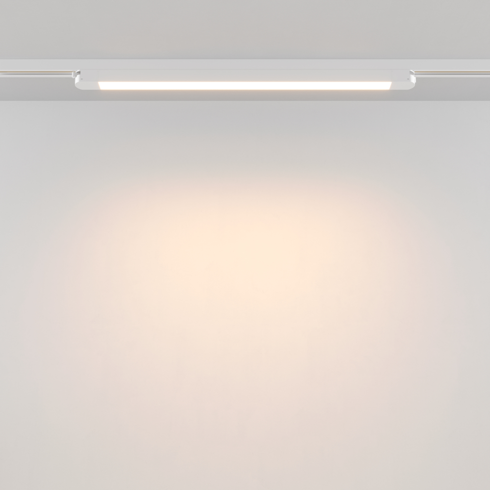 Магнитный трековый светильник Maytoni Unity Basis TR000-1-24W3K-W_1