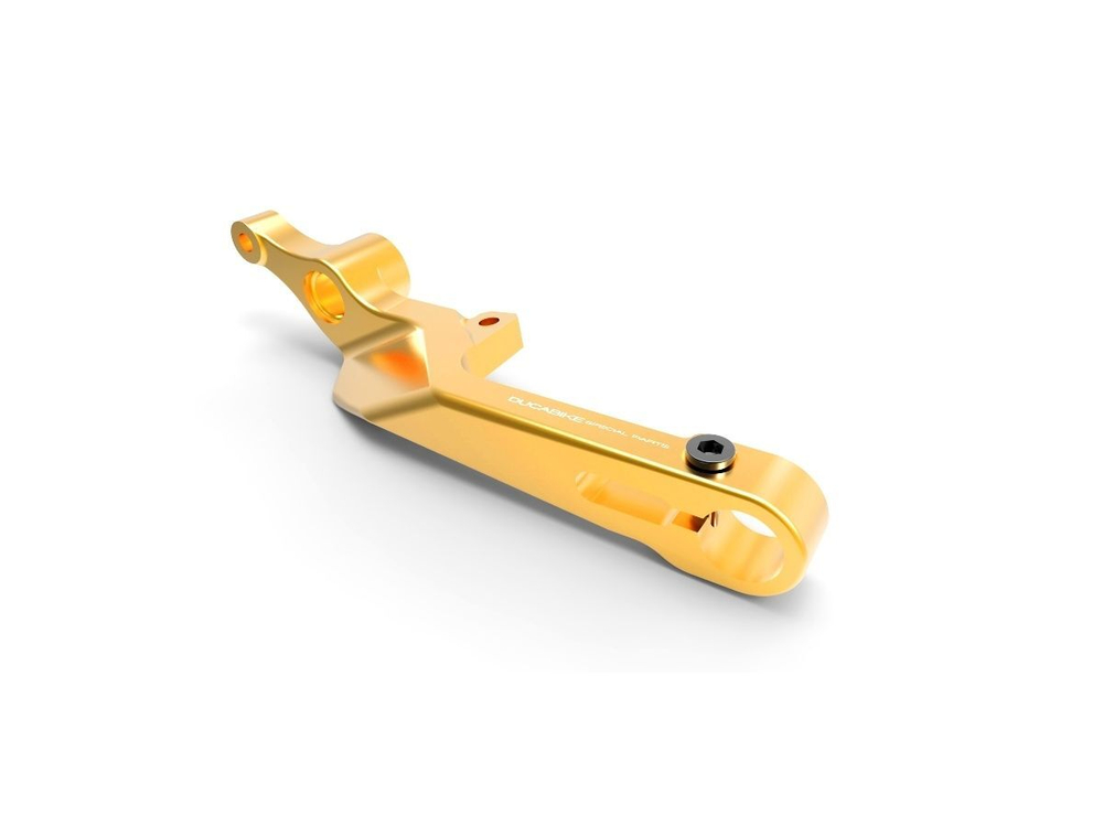 RPLF17-RPPIF01D DUCABIKE BRAKE LEVEL W/ ECCENTRIC PIN (P V4, SF V4)