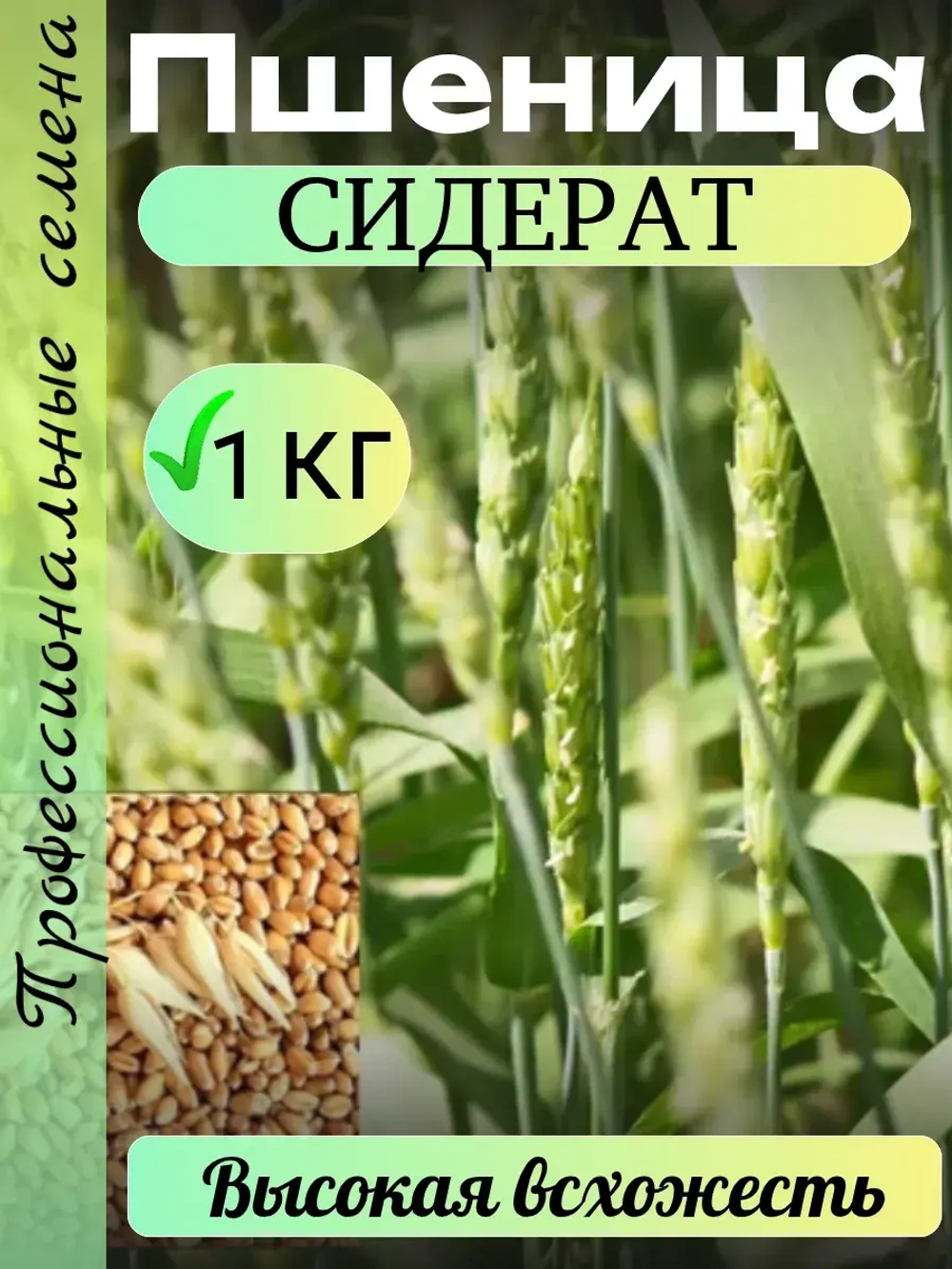 Сидерат Пшеница 1 кг