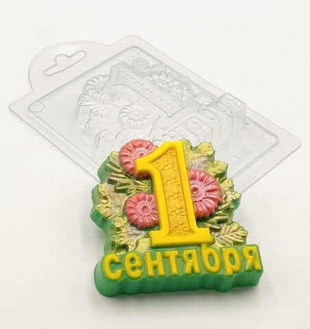 Пластик.форма 