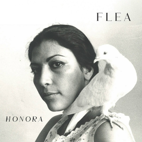 Flea - Honora