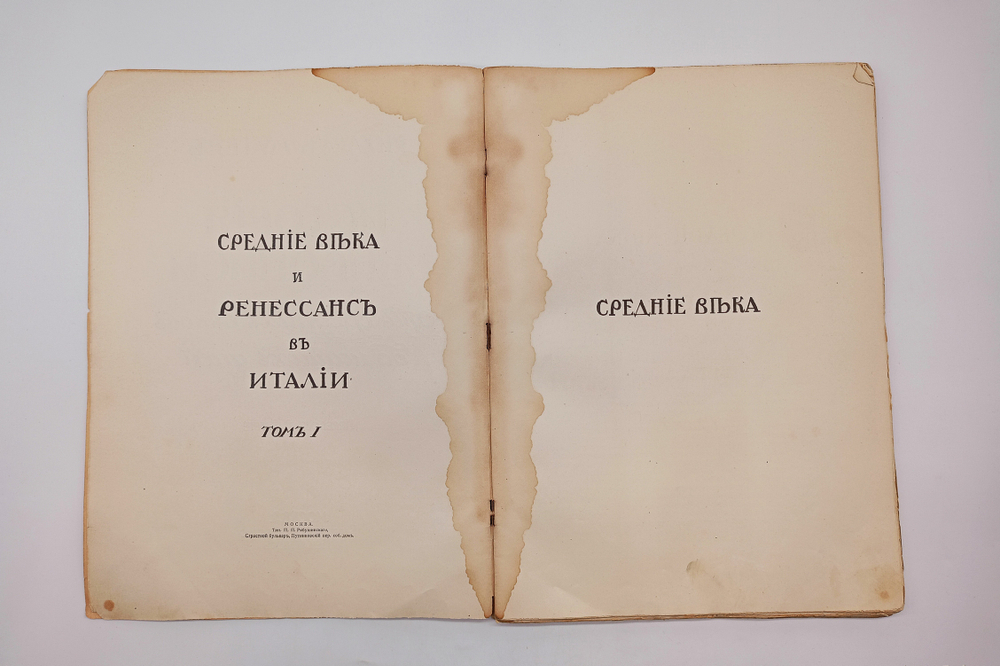 "История живописи от средних веков на наших дней". Р. Мутер. 1903г. - раритет