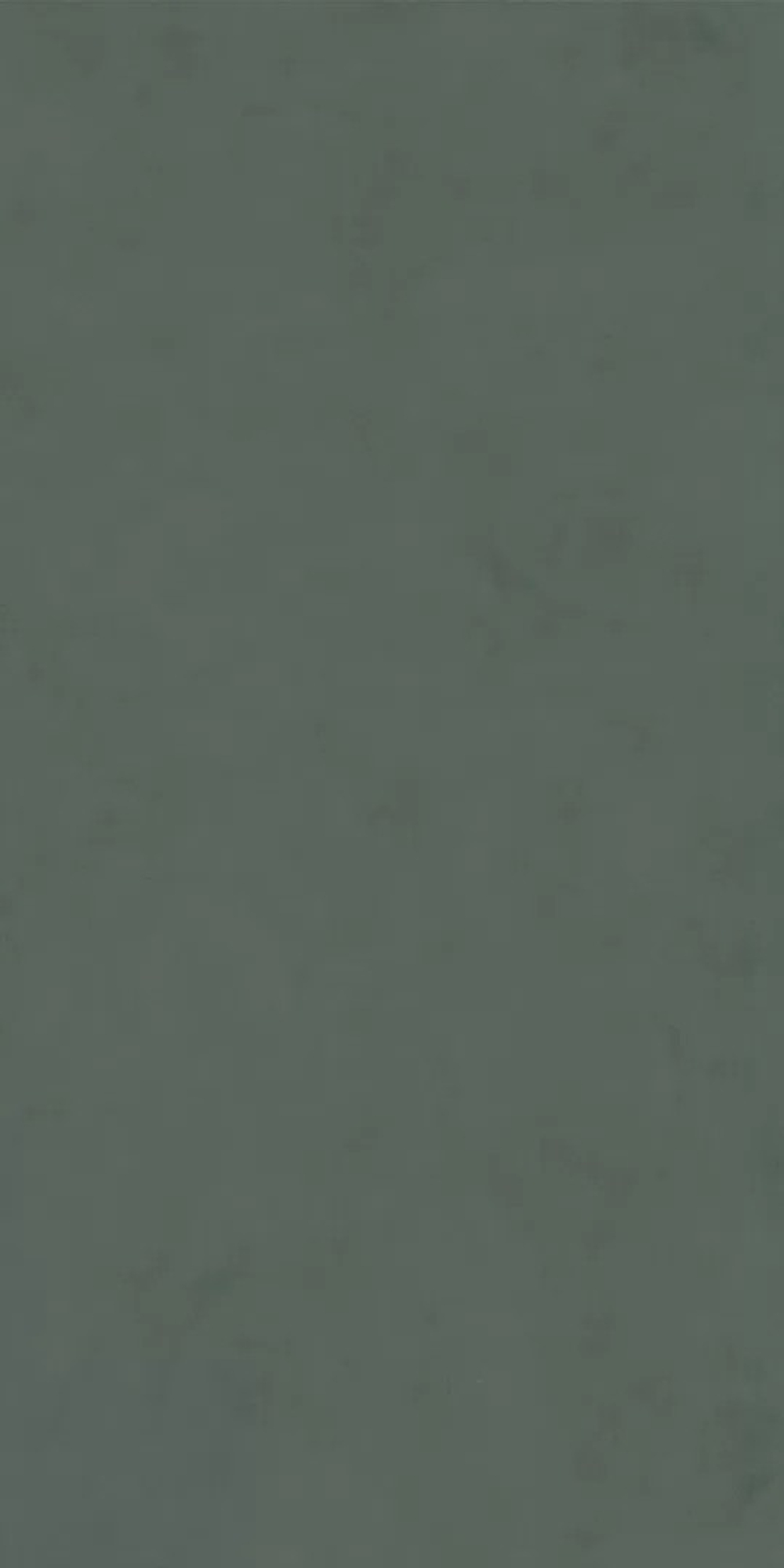 Керамогранит KERAMA MARAZZI ПРО ЧЕМЕНТО зелёный матовый обрезной 60x119,5 / 9 мм. / DD507420R
