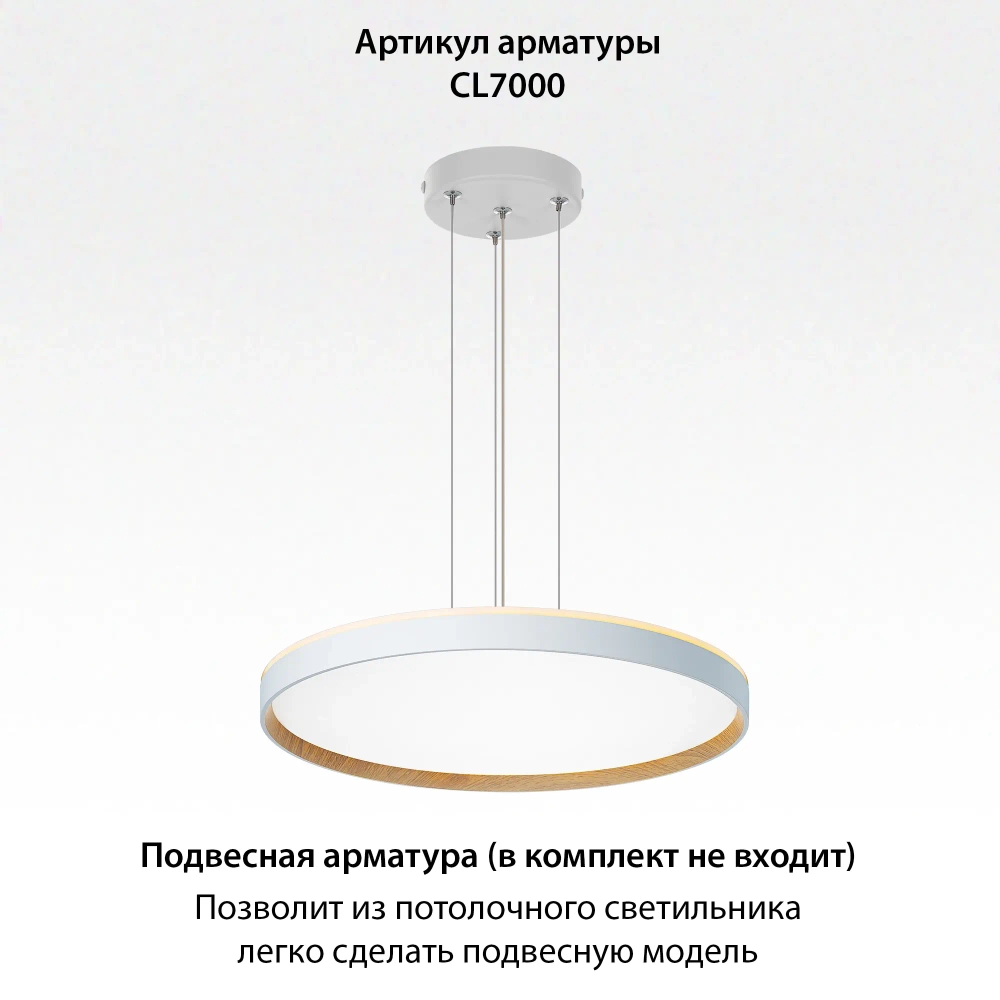 Потолочный светодиодный светильник Citilux Etalon CL750500R