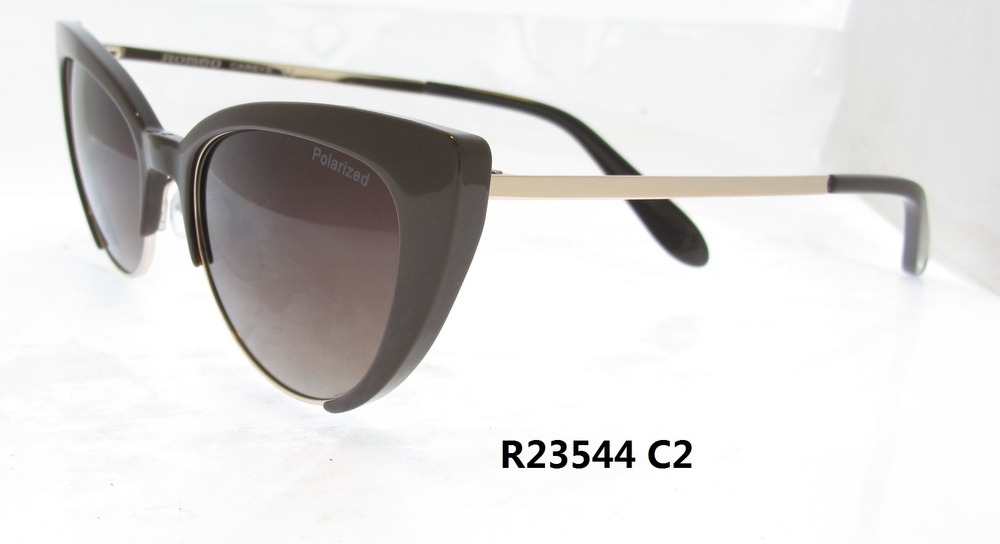 R23544