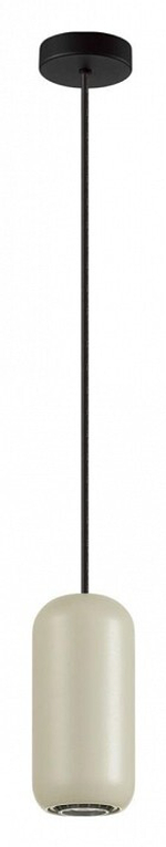Подвесной светильник Odeon Light Cocoon 5060/1G