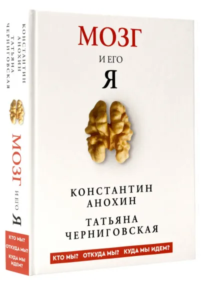 Мозг и его “Я”. Кто мы? Откуда мы? Куда мы идем?