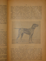 "Дрессировка и натаска подружейных собак". Г.Оберлендер. 1910г.