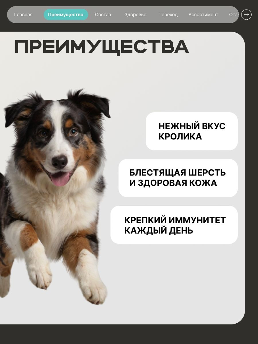Корм сухой для собак средних и крупных пород, забота о зубах и деснах, с кроликом, 12 кг, QUATTRO