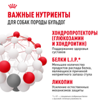 Royal Canin Bulldog Adult Бульдог Эдалт Корм сухой для взрослых собак породы Бульдог от 12 месяцев 3кг