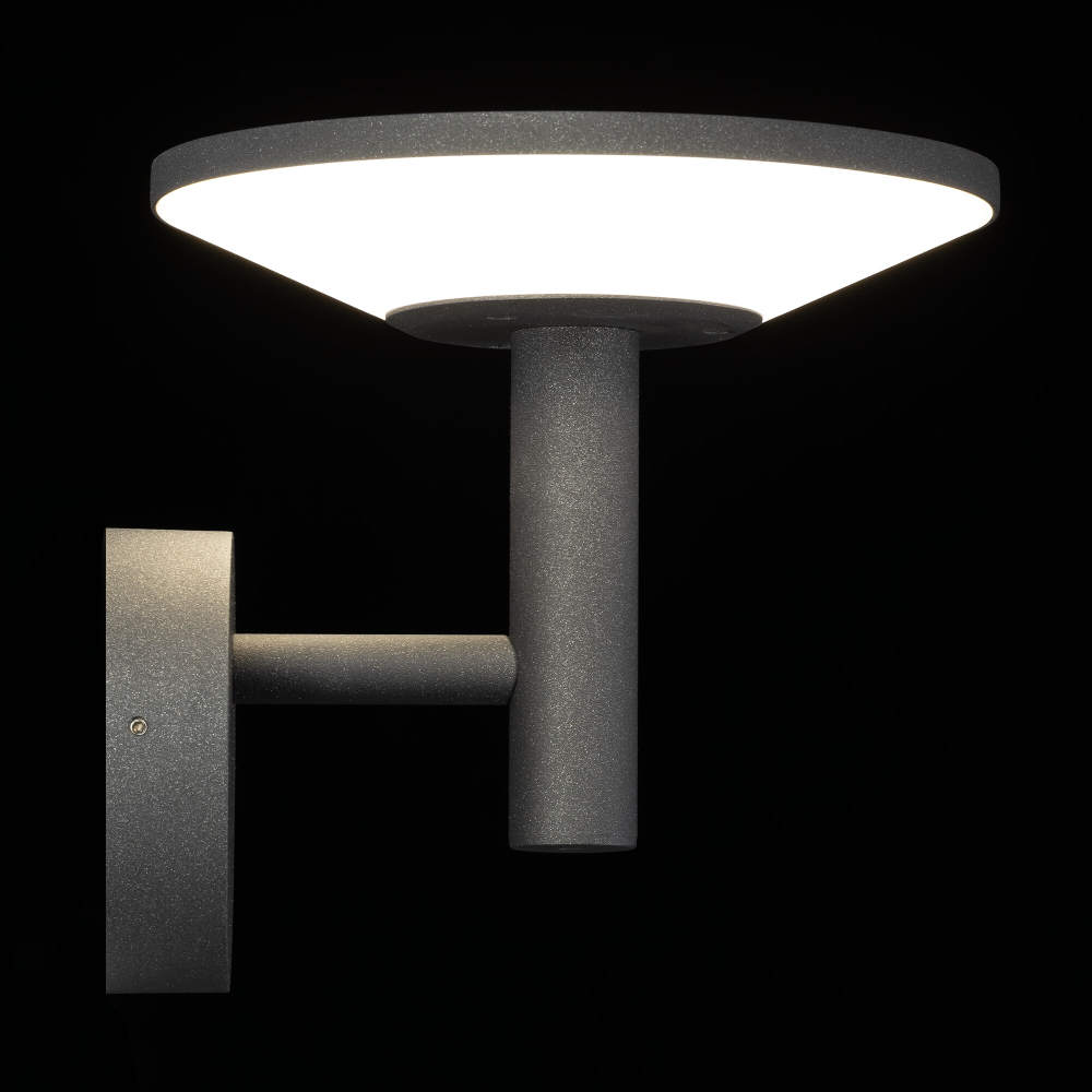 Citilux Dorn CLU05W LED Уличный настенный светильник Графит