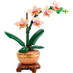 Конструктор LEGO Botanicals 10343 Маленькая орхидея