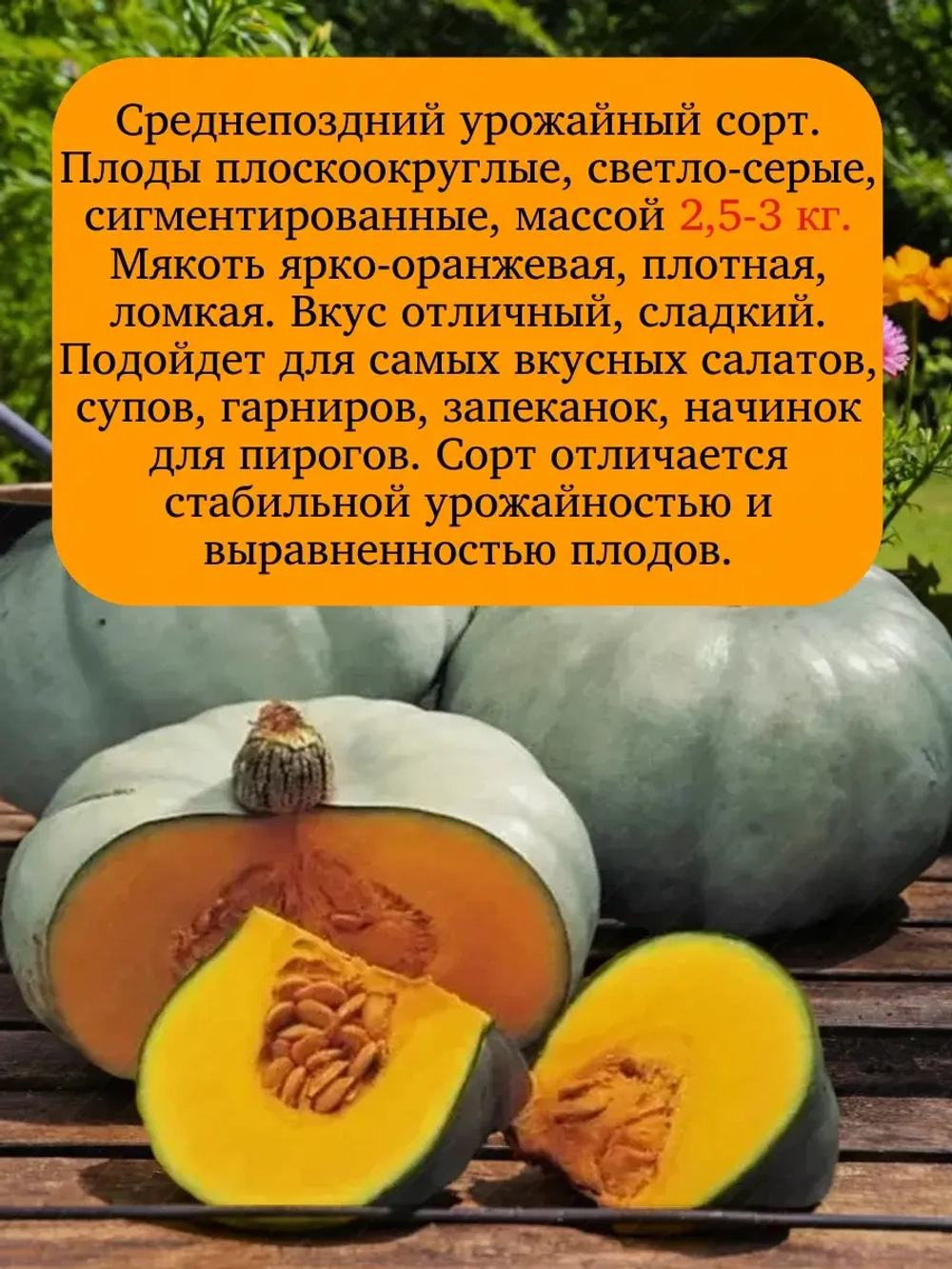 Семена Тыква крупноплодная Крошка 20 гр