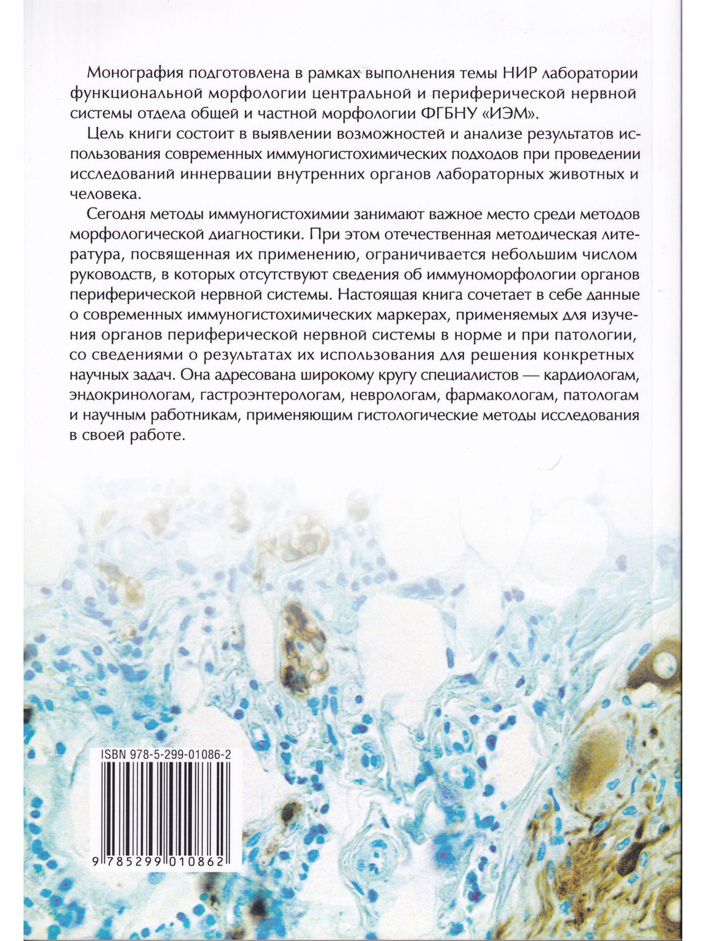 Иммуногистохимия периферической нервной системы