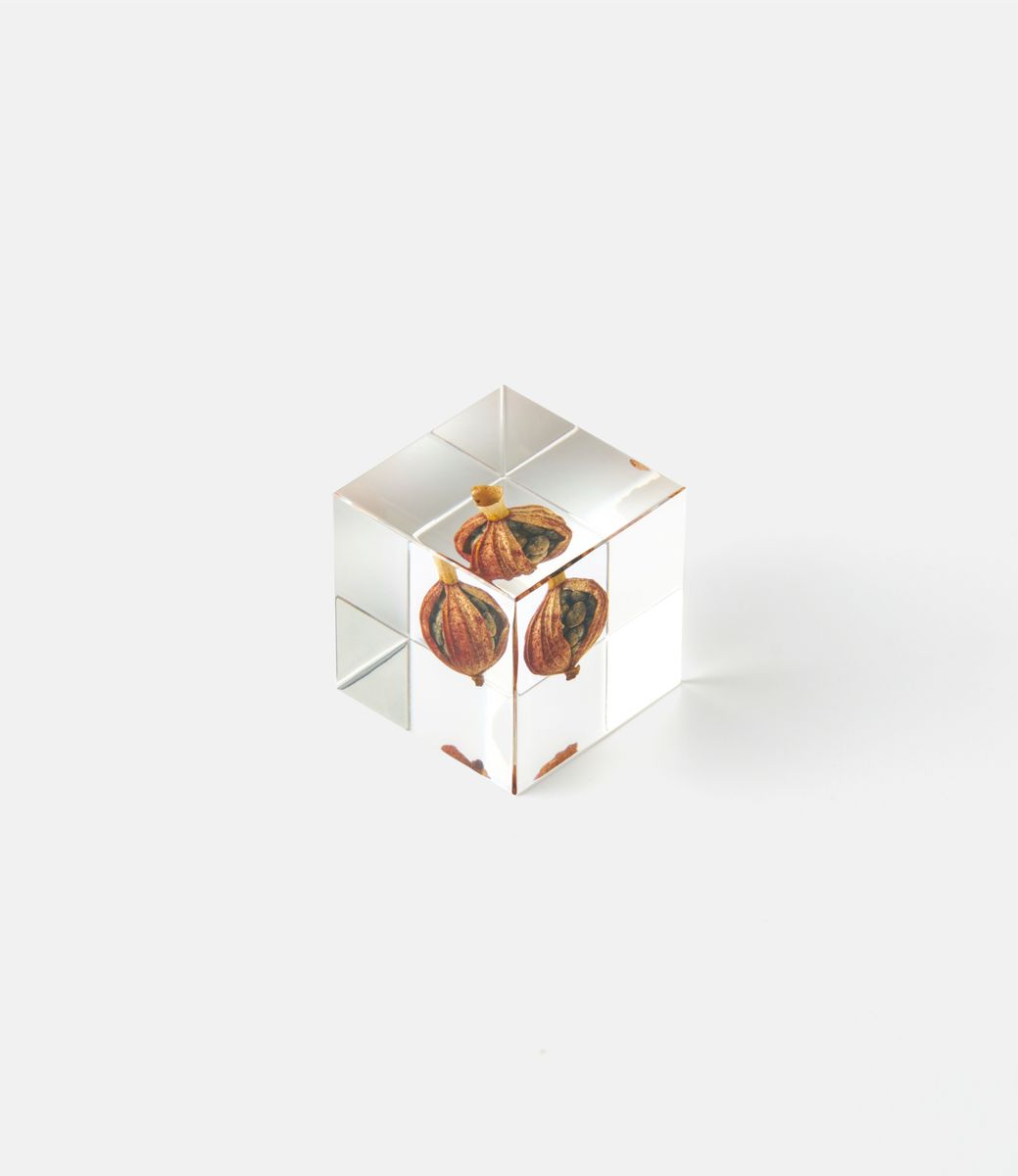 Sola Cube Shell Ginger — куб из акриловой смолы