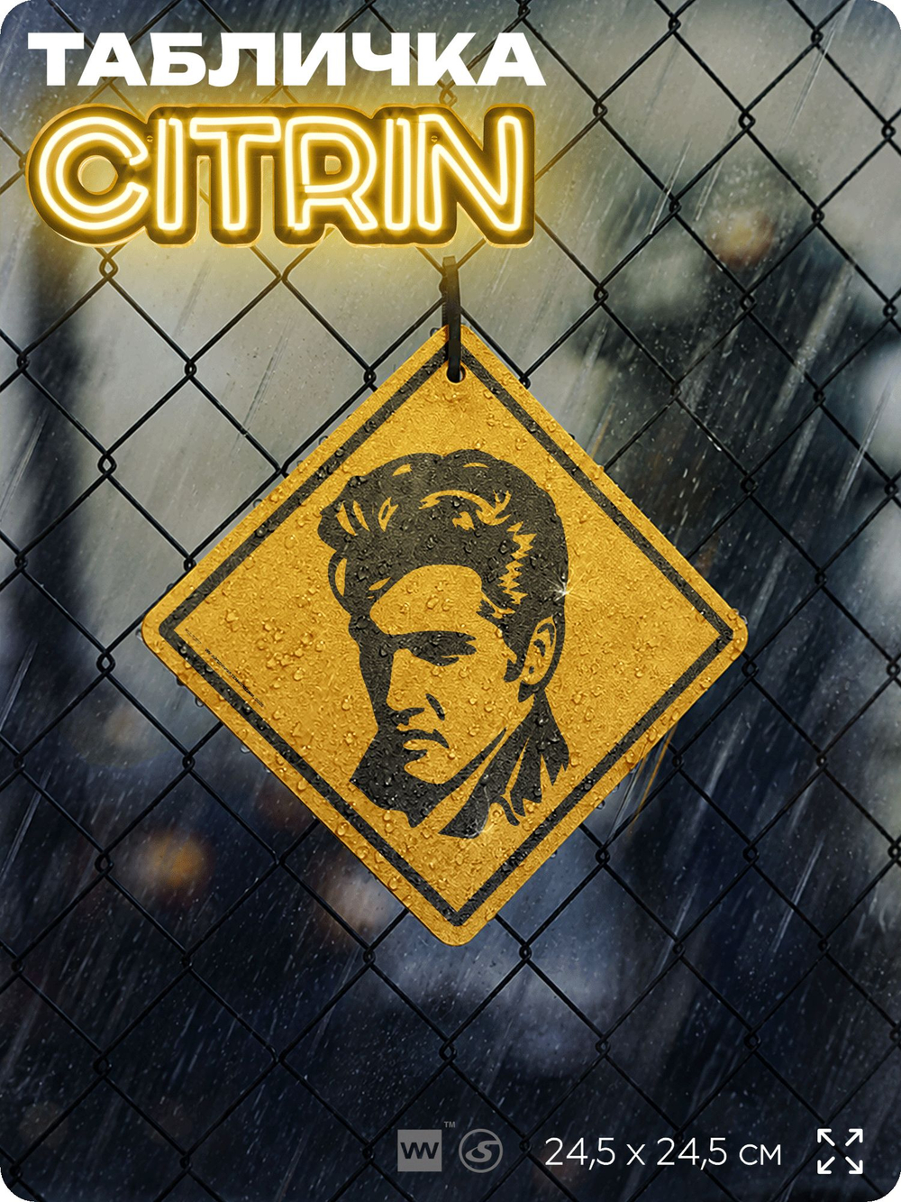 Табличка декоративная "Элвис Пресли, Elvis Presley" на дверь и стену, прикольная штука в подарок, декоративный знак, 24,5х24,5 см, пластиковая, Айдентика Технолоджи