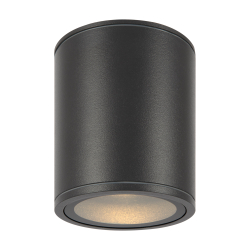 Уличный потолочный светильник Outdoor O306CL-L12GF