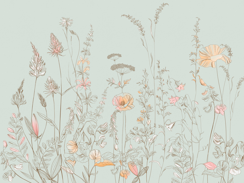 BLOSSOM 17