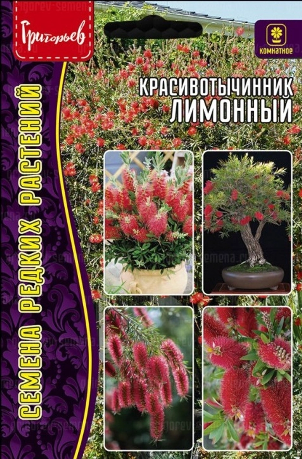 Красивотычинник Сплетенный комнатный 0,1г (Ред.сем)