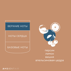 Свеча ароматическая Ambientair Gifting Печенье и ягоды 40ч