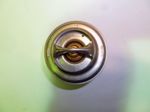 Термостат Yangdong Y4100D; TDY 25 4L (T=76C)/Thermostat