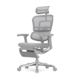Кресло FALTO Ergohuman Luxury 2 с подножкой ( серый каркас /сетка светлаяT-168-B2 Natural)