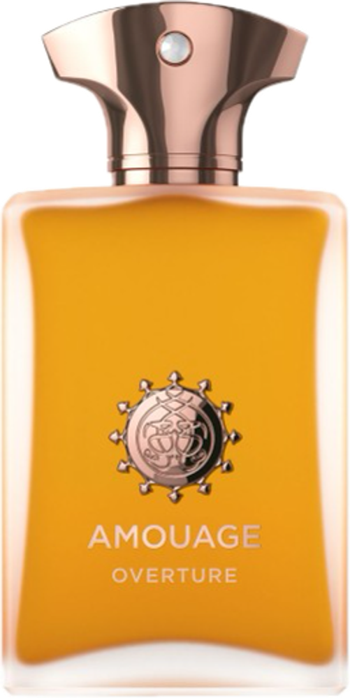 Amouage Overture Man EDP 100 ml