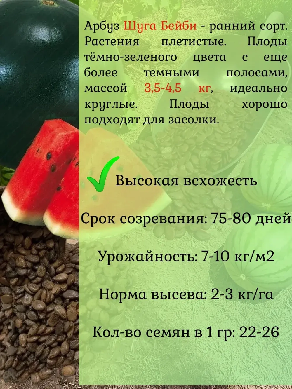 Семена Арбуз набор