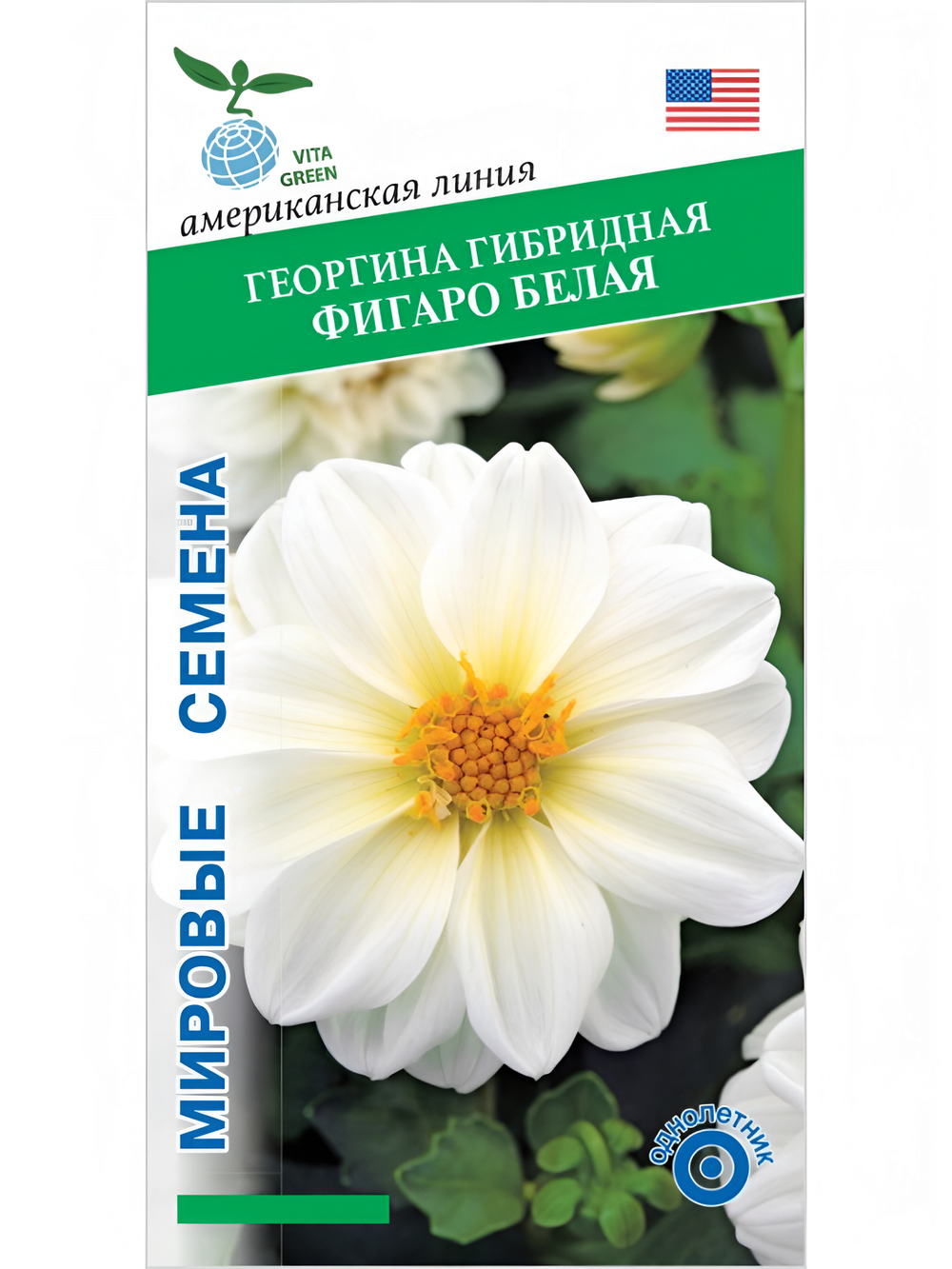 Георгина гибридная Фигаро Белая, семена 10 шт