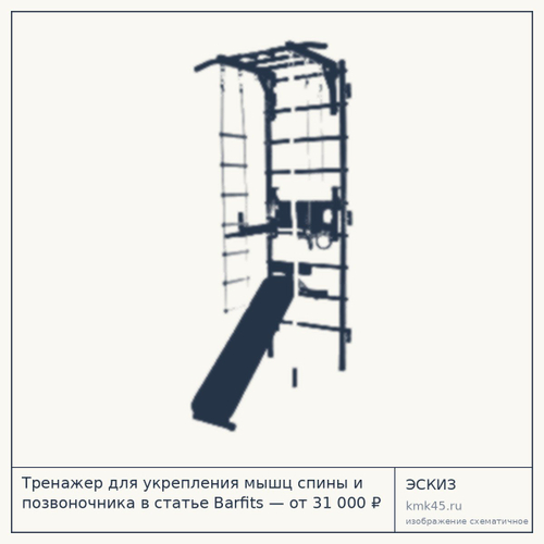Тренажер для укрепления мышц спины и позвоночника в статье Barfits — от 31 000 ₽