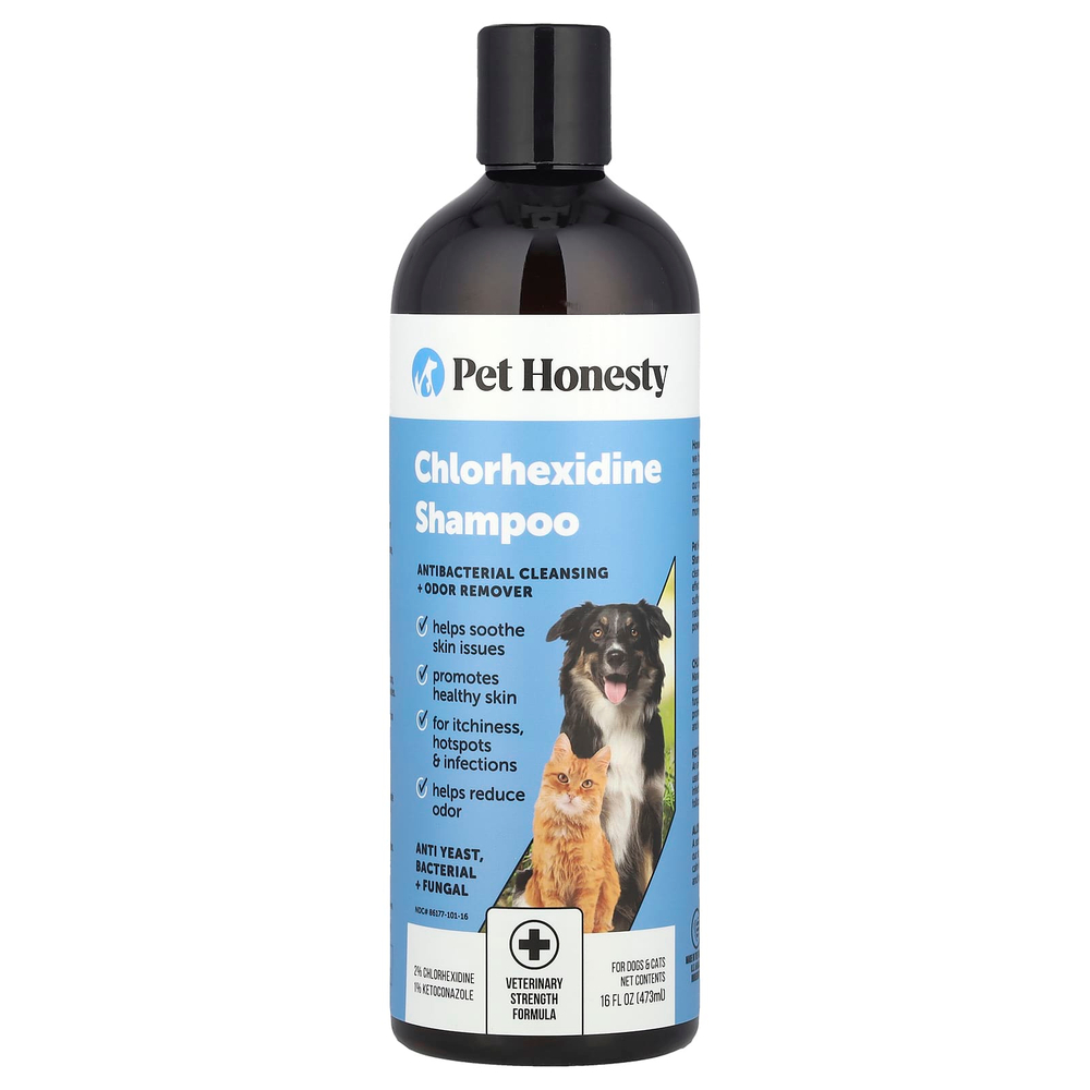 Pet Honesty, Шампунь с хлоргексидином, для собак и кошек, 473 мл (16 жидк. Унций)