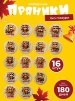 Имбирные пряники на 1 сентября Совушки